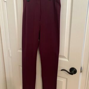 Ann Taylor Burgundy Skirt Waistband Detail
